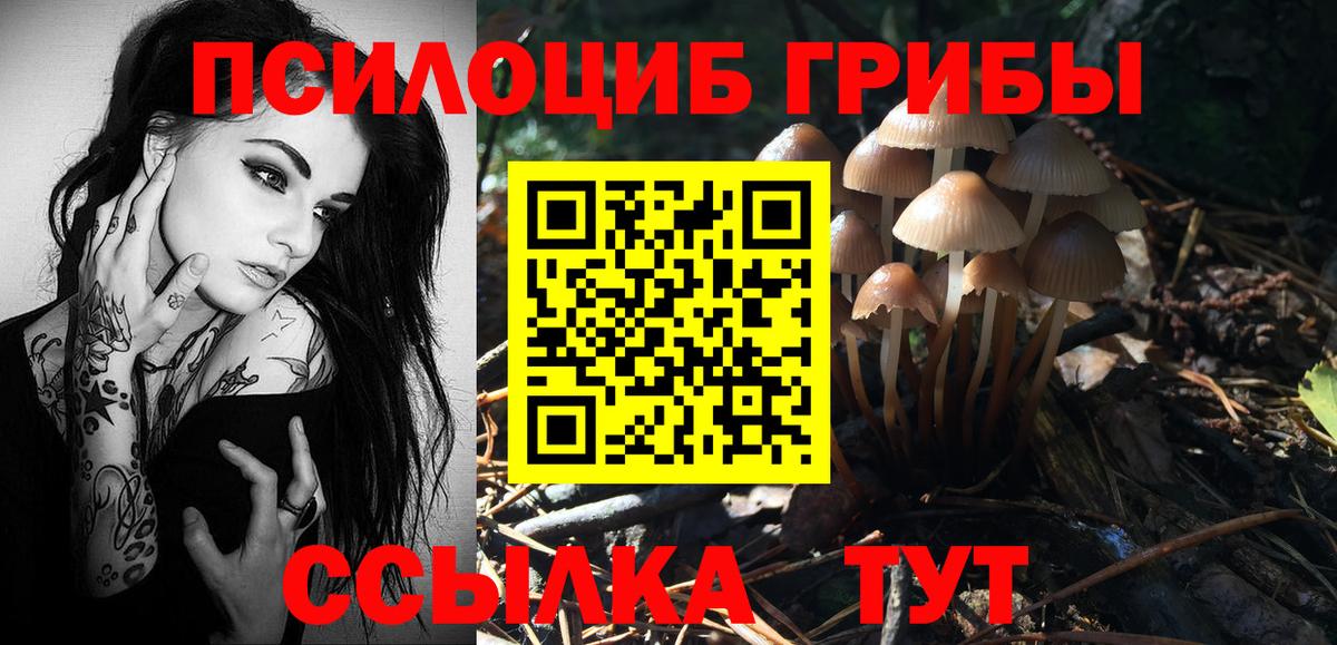 Маркс  Псилоцибиновые грибы прущие грибы  Вход с VPN 
