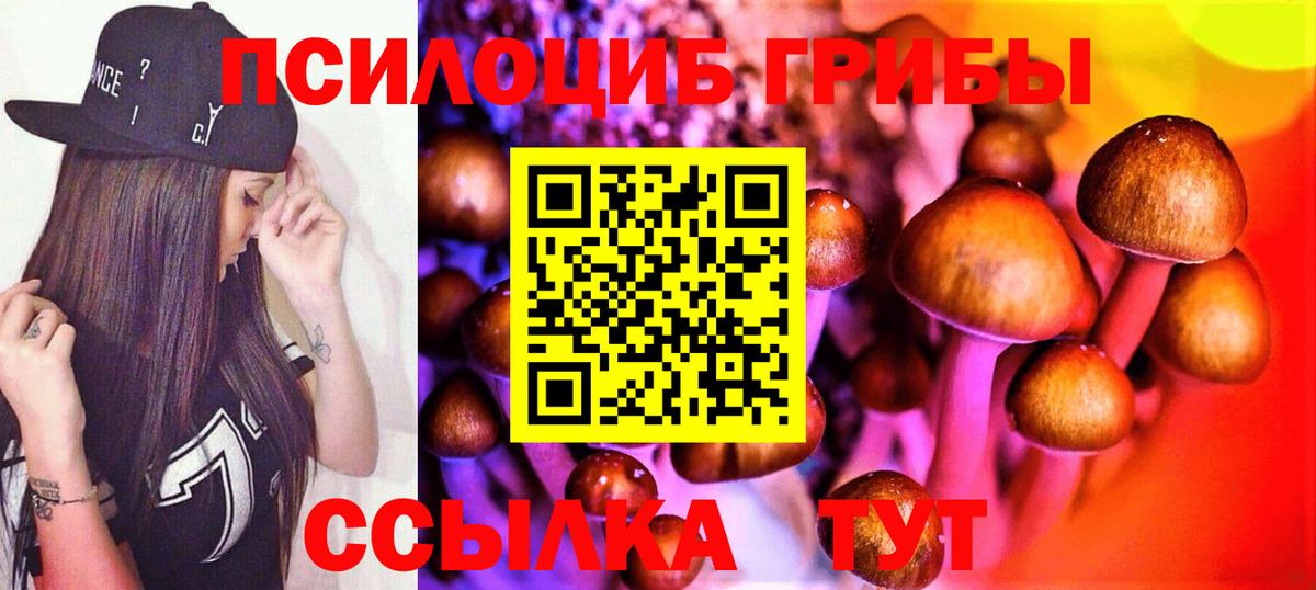 Галлюциногенные грибы мухоморы Маркс